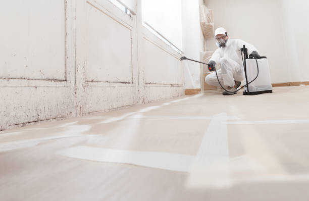 24/7 Emergency Mold Remediation experts in Braintree, MA